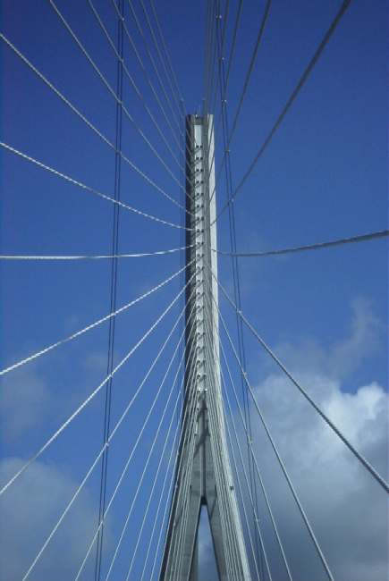 span closeup