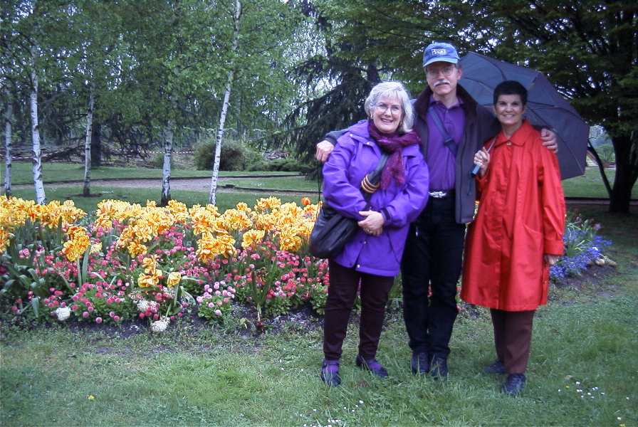 flowers in the city park