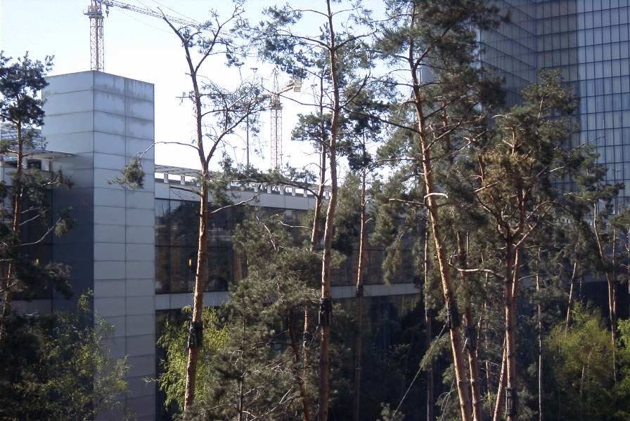 Another view of the courtyard